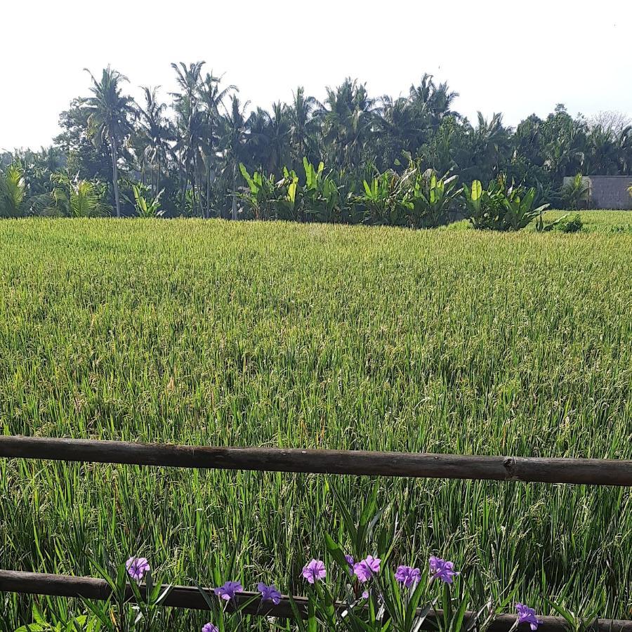 Pb Pondok Gandalangu Garden House Bali Ubud  Exterior photo